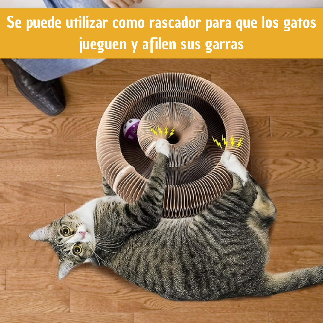 Rascador Para tu Gatito - Juguete plegable